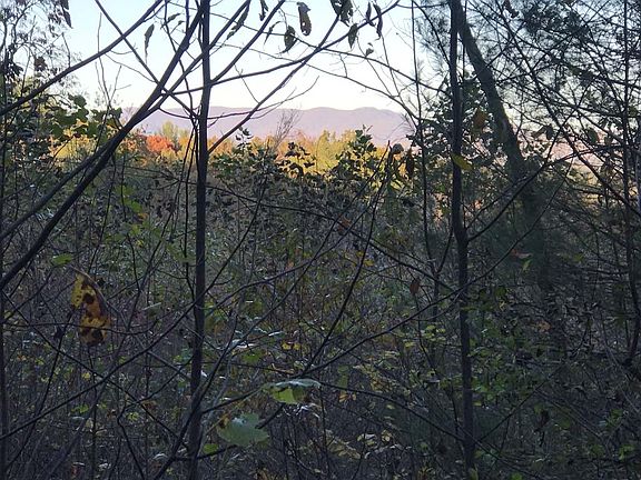 2nd image of Pine Mountain Dr