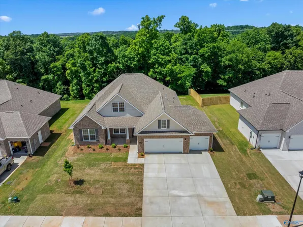 16375 Sunfish Ln NW, Harvest, AL 35749