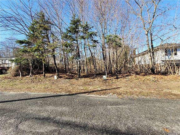2nd image of DEER Dr