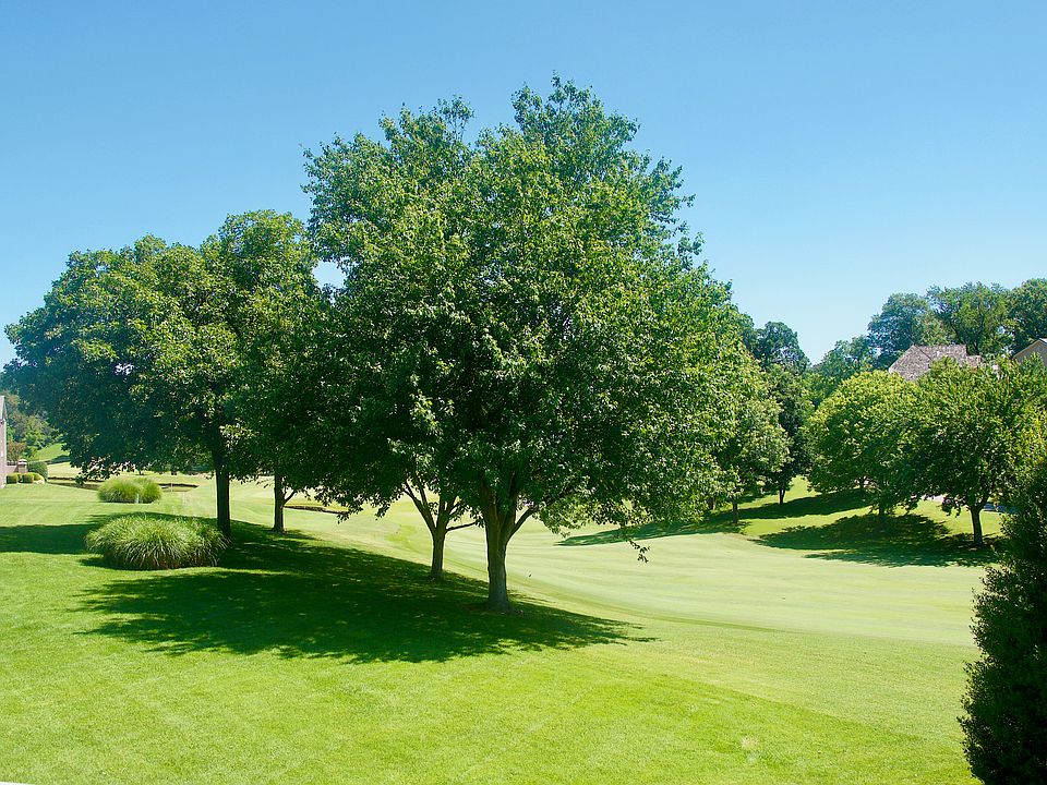 2nd image of 79 W Champions Blvd