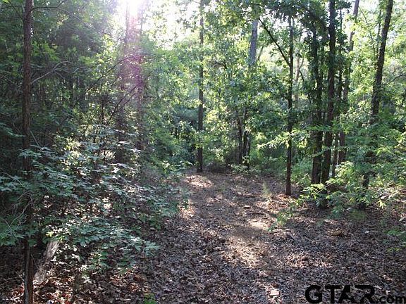 4th image of 14178 County Road 1113