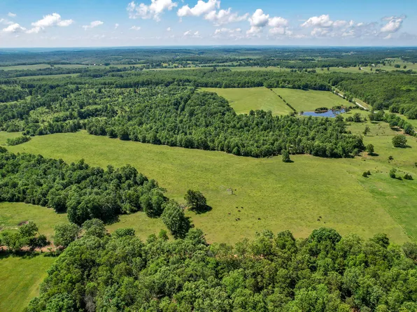 5494-1 Dandelion Road, Hartville, MO 65667