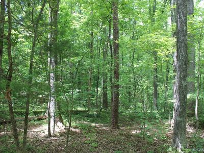 2483 Old Courthouse Rd, Maidens, VA, 23102