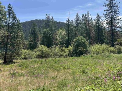 X Seiad Creek Rd, Seiad Valley, CA, 96086
