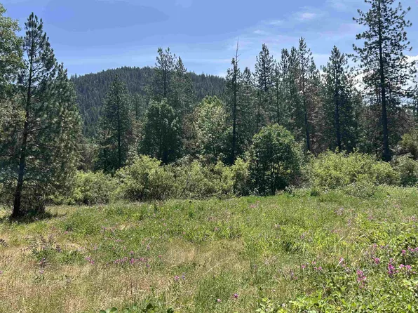 X Seiad Creek Rd, Seiad Valley, CA 96086