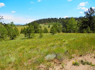 363 Sombrero Rd, Hartsel, CO 80449
