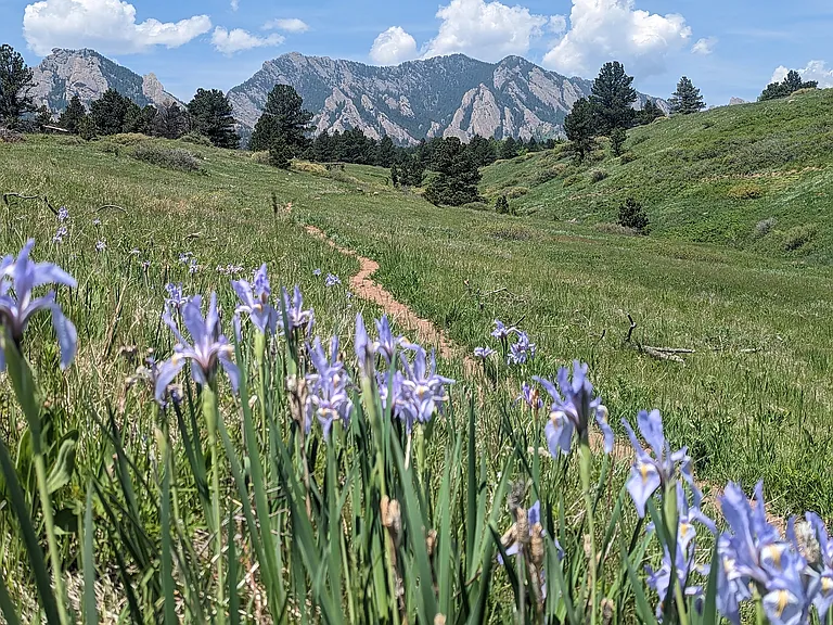 Greenbriar Connector Trail