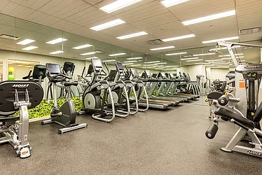 Rented by Bold Marketing