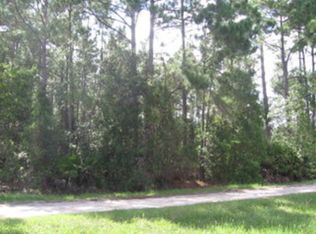 2734 Greentree St, Bunnell, FL 32110