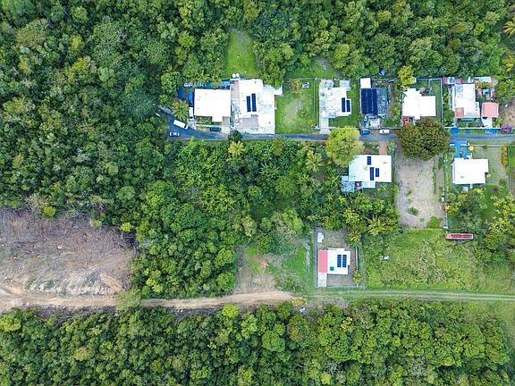 4th image of Bo Factor #2