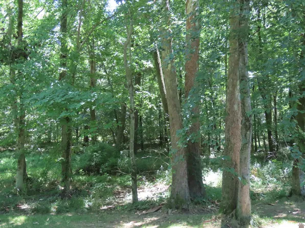 250 Stahr Rd, Fancy Farm, KY 42039