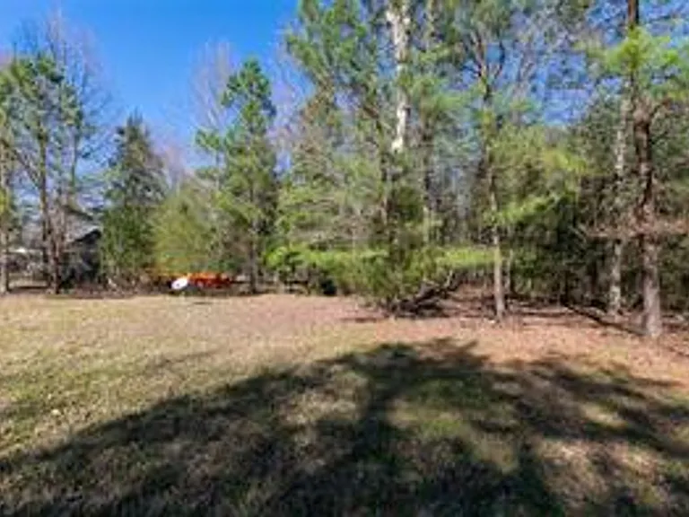 2911 Richard Pace S — Photo 48