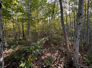 Tbd Bolo Rd, Ontonagon, MI 49953