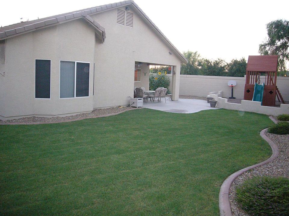 Grass Backyard