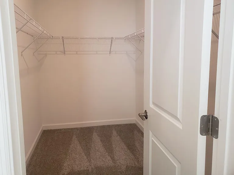 2910 American Elm Cv — Photo 10