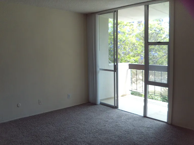 3050 Rue Dorleans #355 — Photo 3