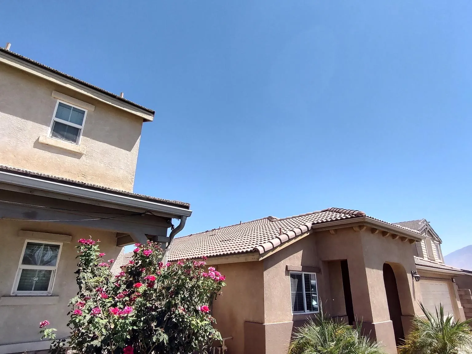 El Camino Real, Arvin — Photo 1