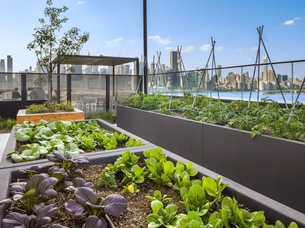 56-27 2nd Street image 19 of 22