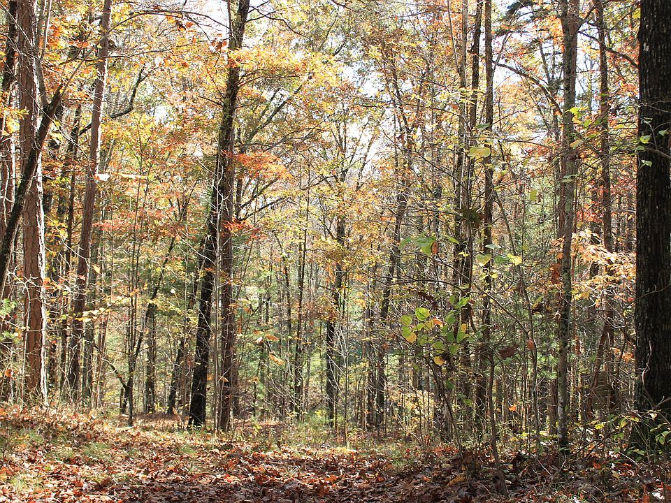 1st image of LOT 141 Deer Haven Trl Lot 141