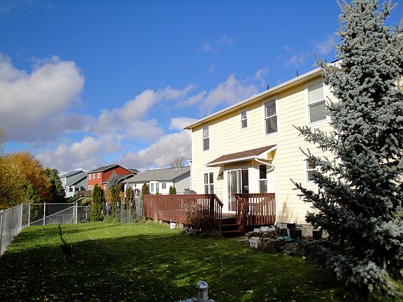 Back Yard 3