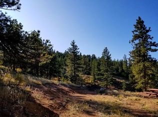 80 Castle Mountain Dr, Livermore, CO 80536