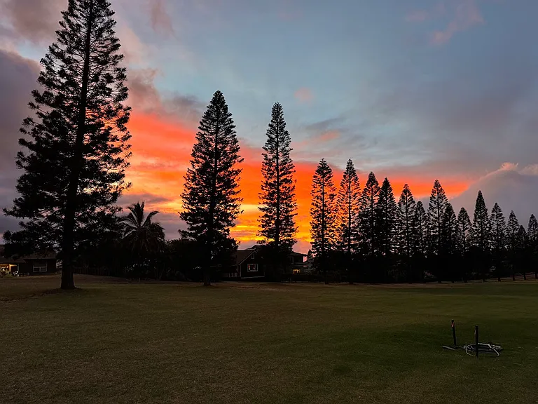 Leolani Pl — Photo 12