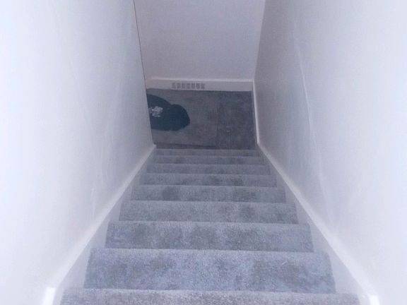 Brand new carpet on the stairs.