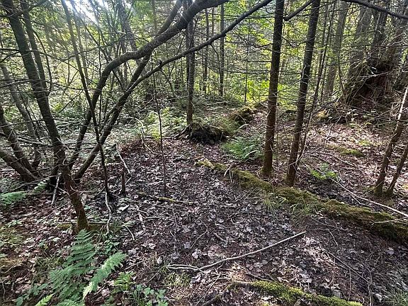 5th image of 2 Potato Patch Rd