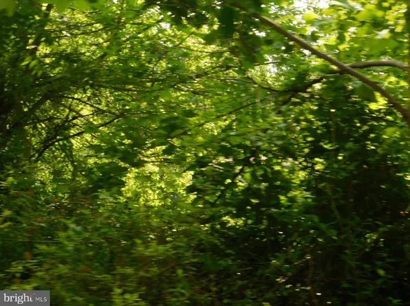Pinewood Rd Lot 9, Earleville, MD 21919