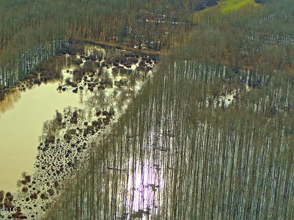 45th image of this home