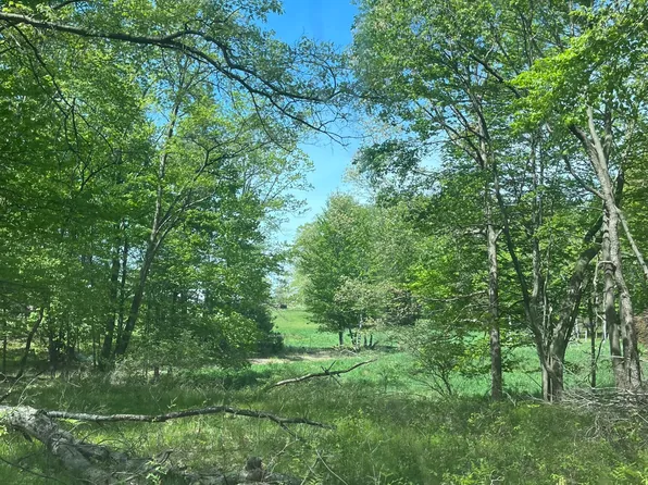 3685 Cypress Rd, Blanchard, MI 49310