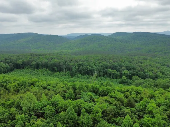 0 State Highway 151, Ringgold, GA 30736