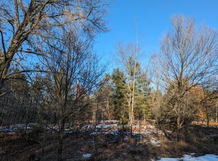 Bergstrom Rd, Kaleva, MI 49645