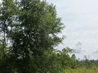 0 Dogwood Ln LOT 1, Folkston, GA 31537