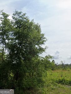 0 Dogwood Ln LOT 1, Folkston, GA, 31537