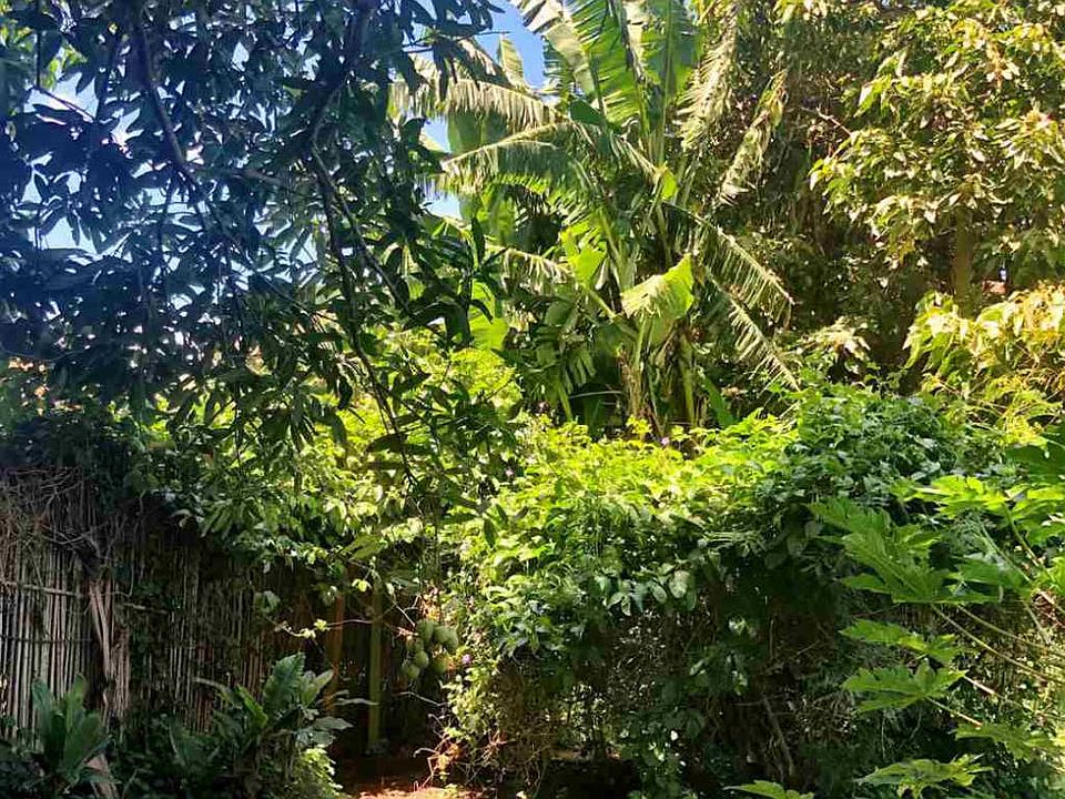 2nd image of 14 Kulani Pl