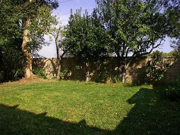 Nice size yard