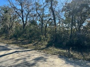 Riverstone St, Webster, FL 33597