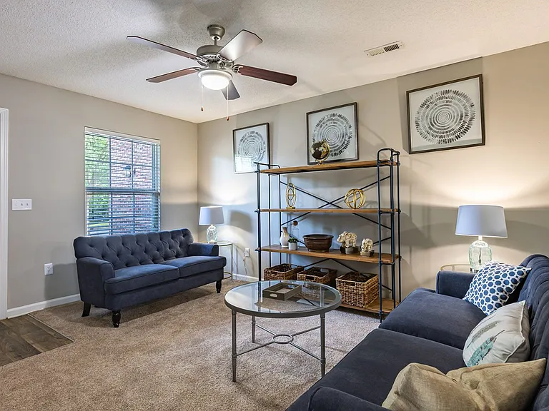 The Village at Brierfield Apartment Homes — Photo 5