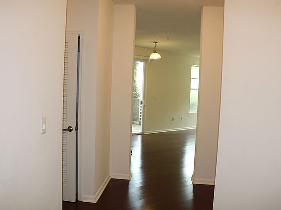 3rd image of 301 Crescent Ct APT 3116