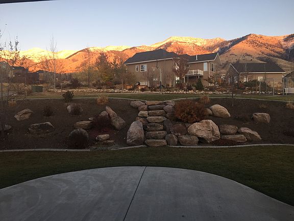 Back yard