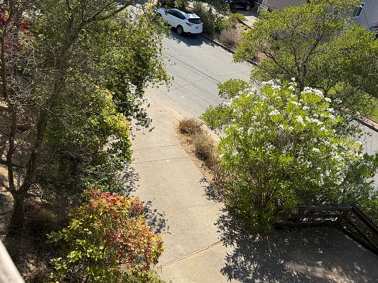 Looking down Driveway from Front Porch