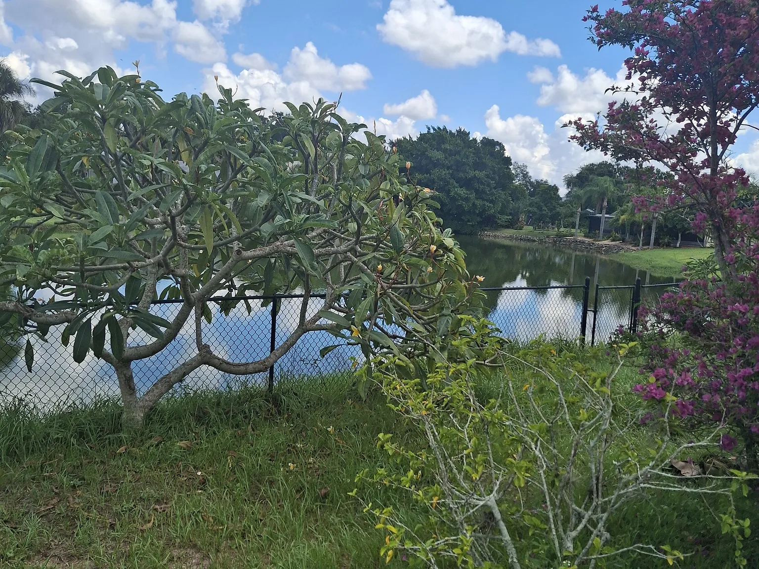3 bed, 1452 sqft, $3,350 — Photo 4