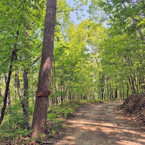 14954 W Goss Road, Hayward, WI, 54843