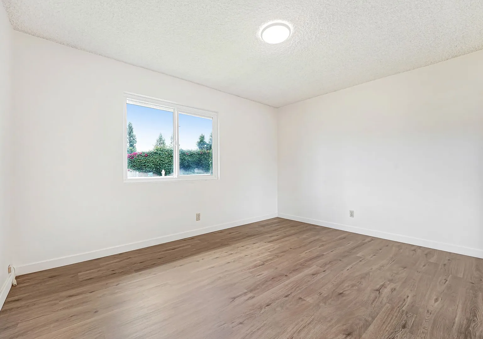 913 Clay Ct — Photo 4
