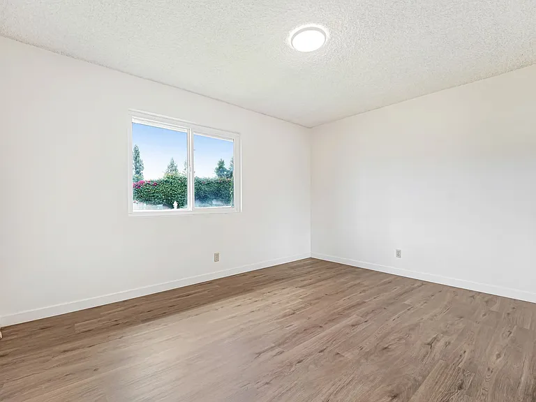 913 Clay Ct — Photo 4