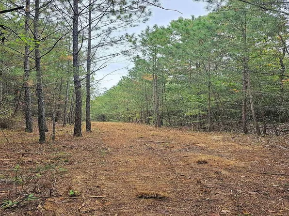 0 County Road 112, Bremen, AL 35033