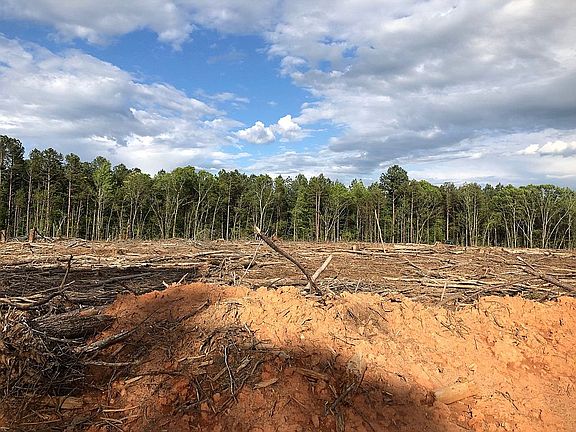 5th image of 1600 Highway 247