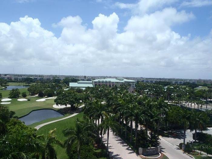 Views