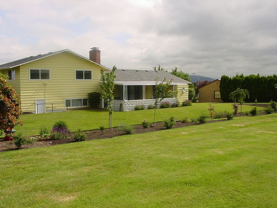 View of back yard"Before".